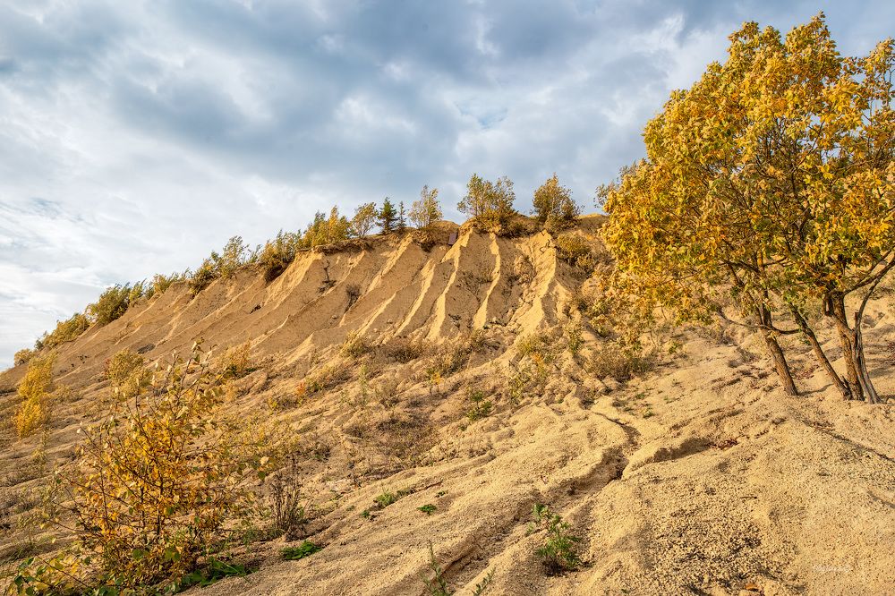 Осень Борницкого карьера