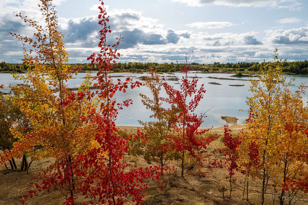 Осень Борницкого карьера