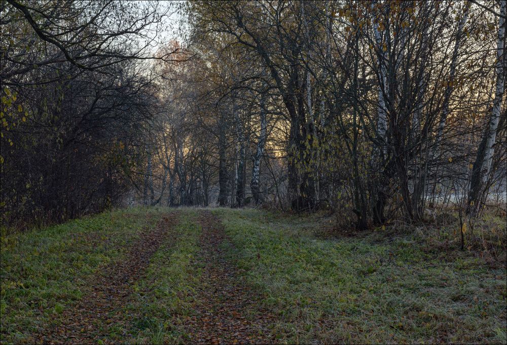Межполевая дорога на восходе