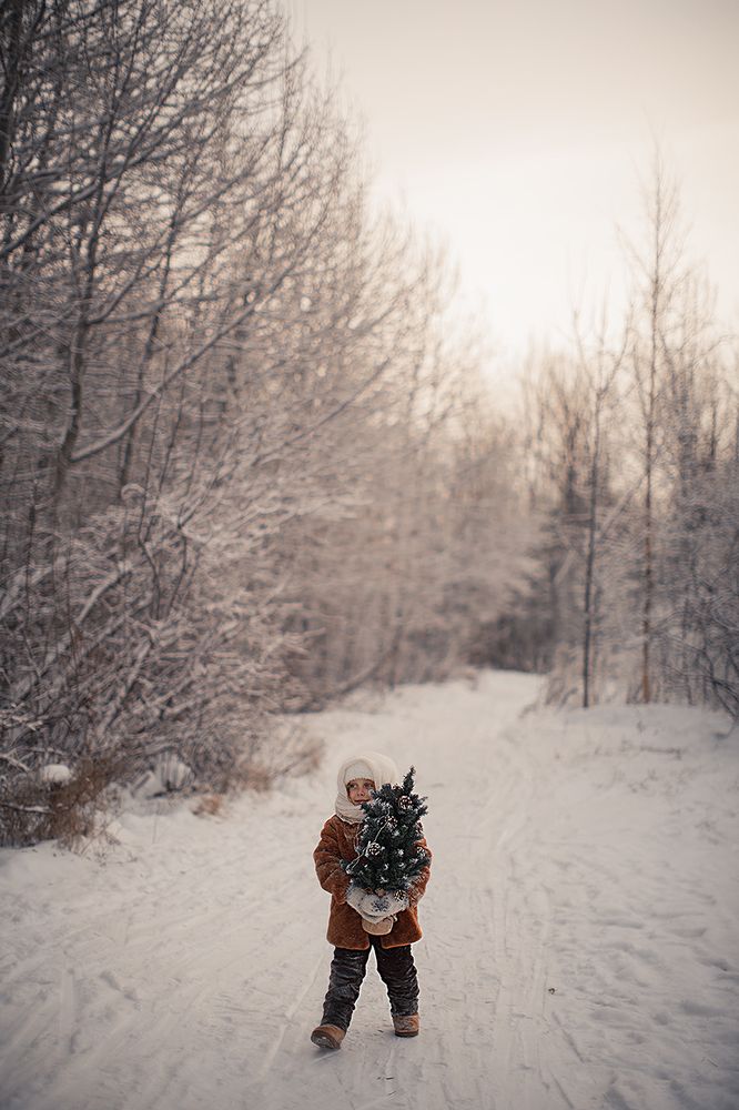 Photo 2512941