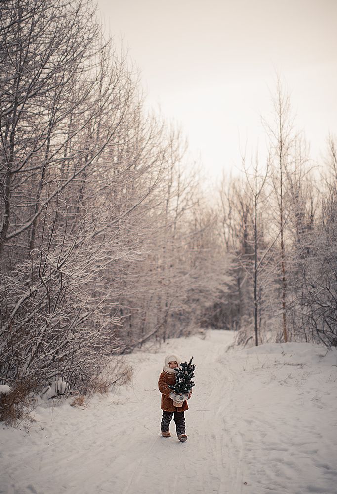 Photo 2512943