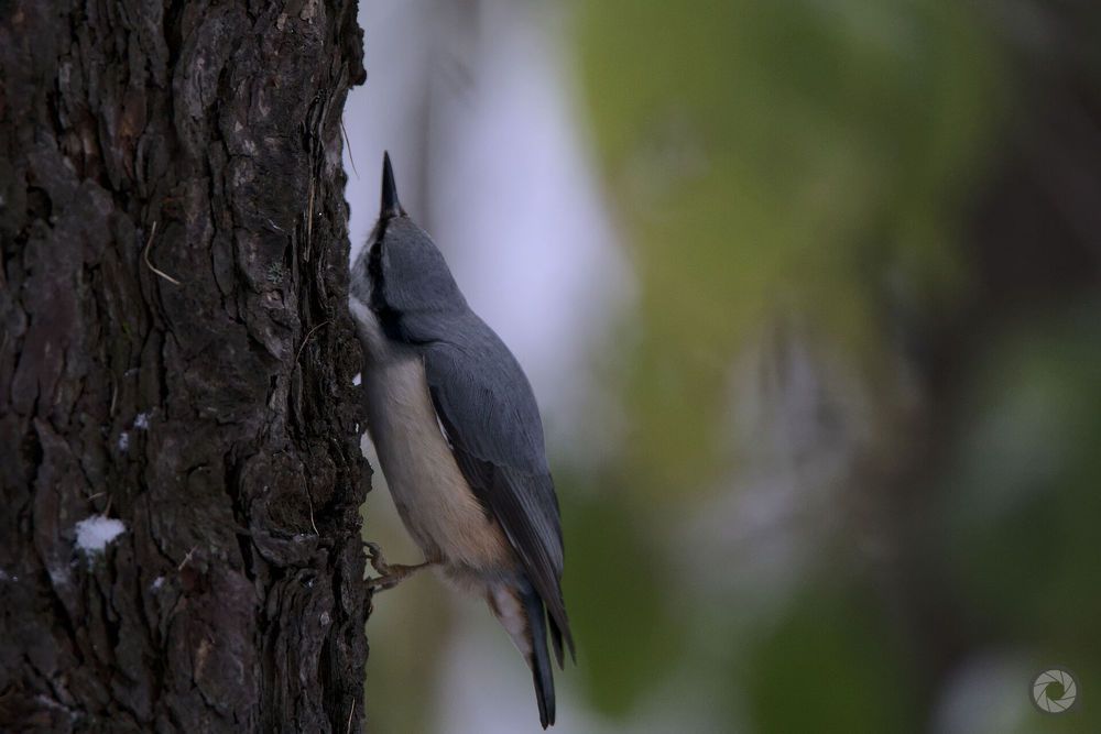 Photo 2513123