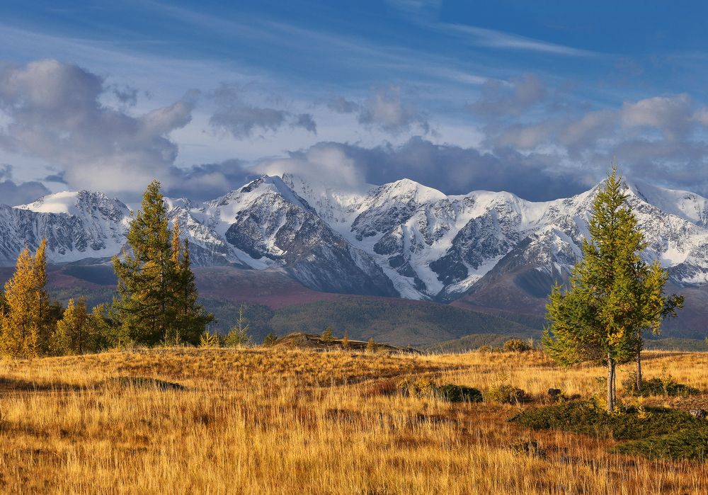 Горы, осень, Алтай