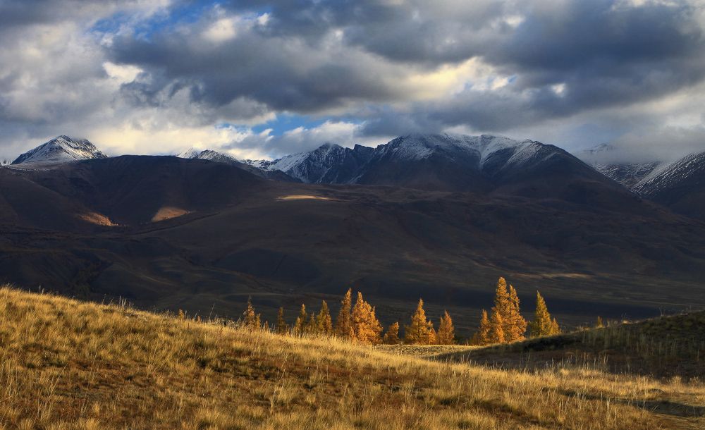 Горы, осень, Алтай