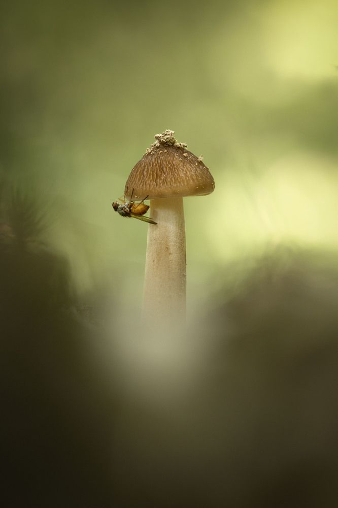 Secret beauty of nature