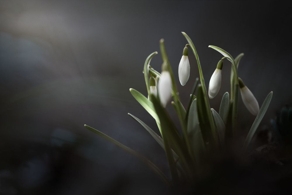 Secret beauty of nature