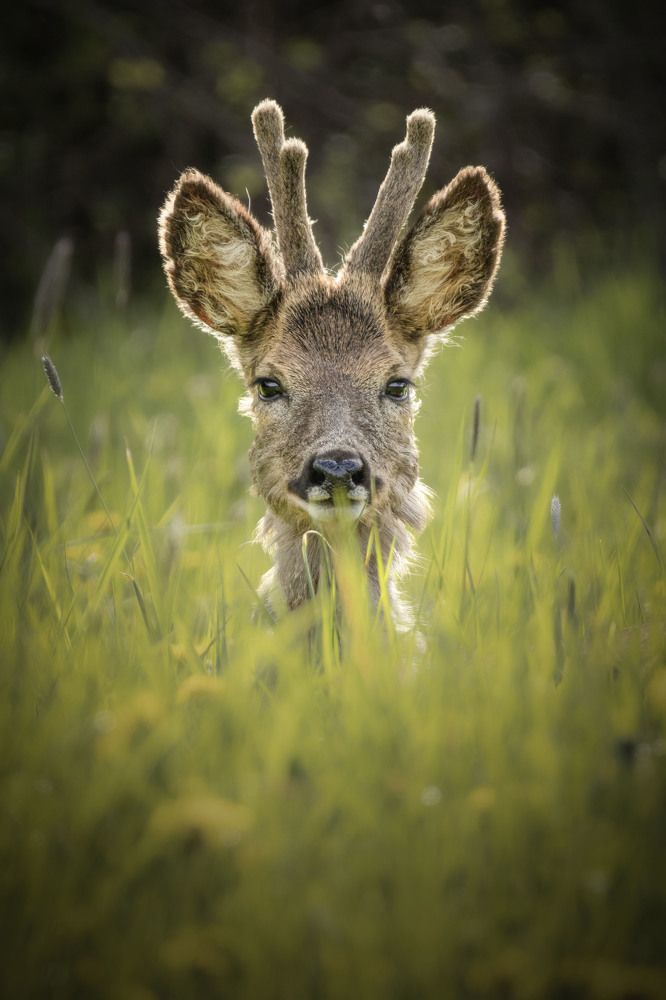 Secret beauty of nature