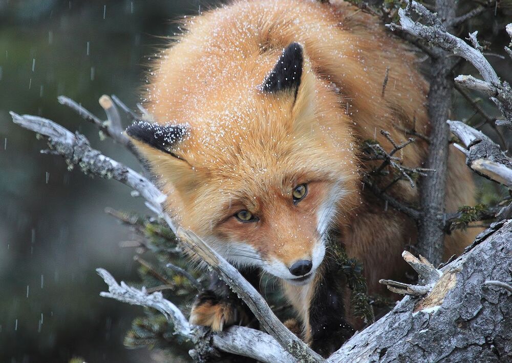 Photo 2513922