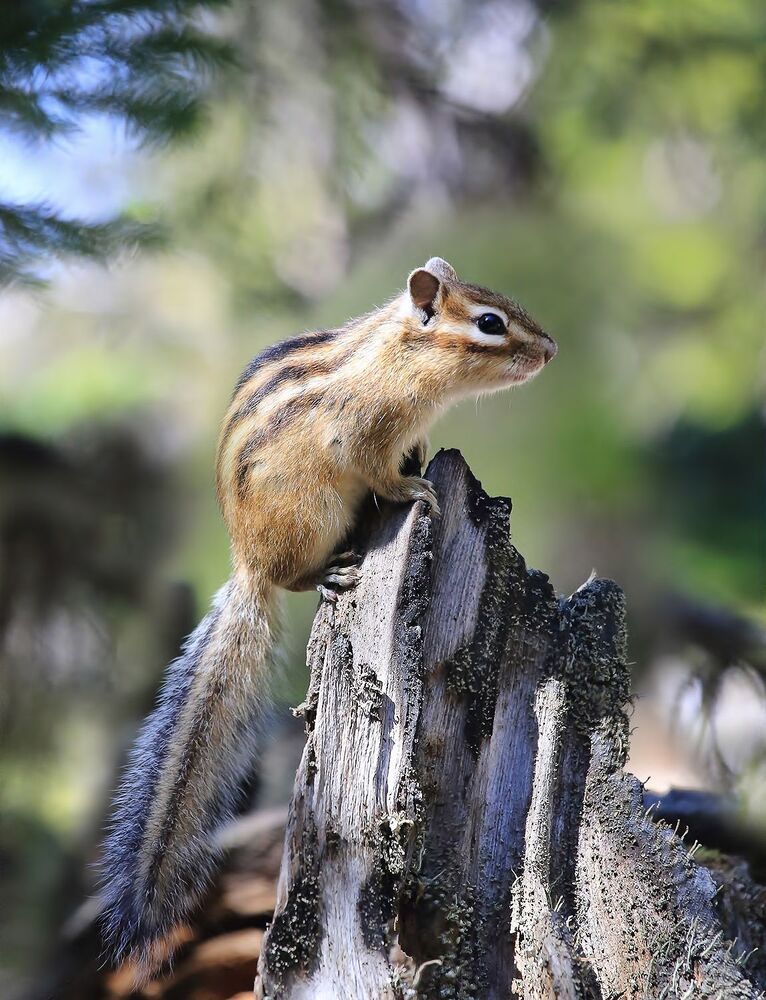Photo 2513928