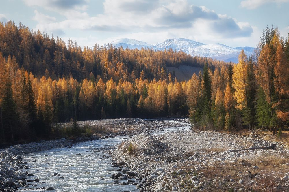 Осень на берегах Кубадру