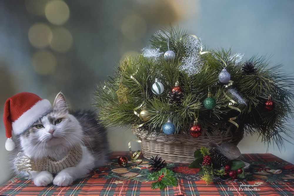 С Новым годом!