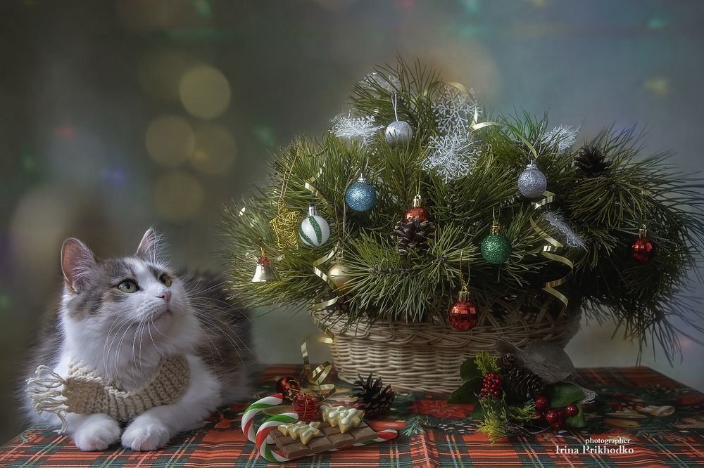 С Новым годом!