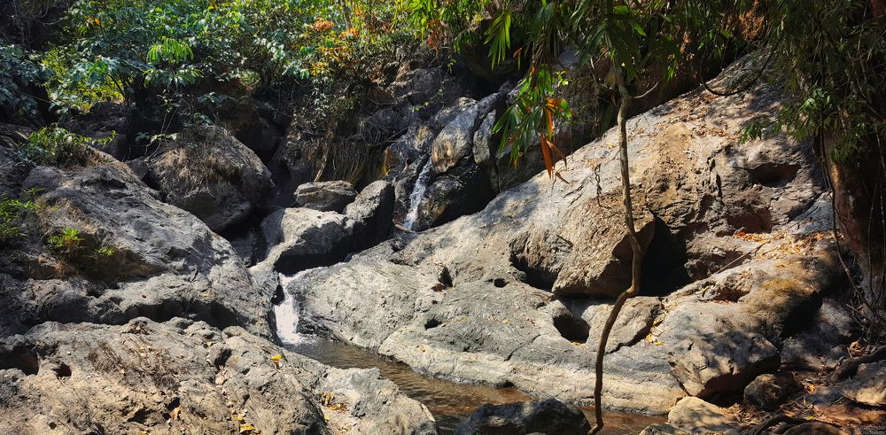 В тропическом лесу Khao Yai National Park