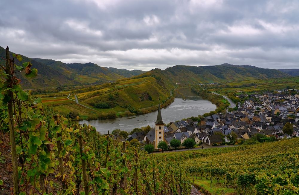 Vineyards