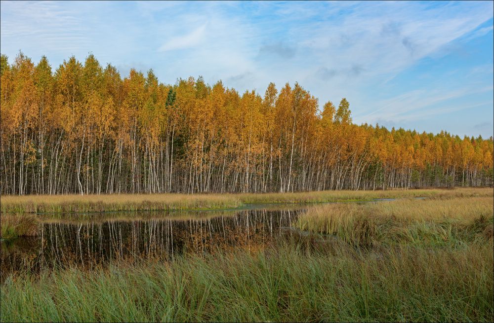 Утро превращается в день