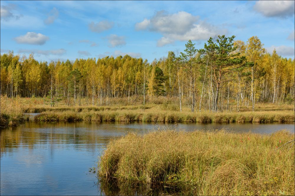 Осенний погожий денёк