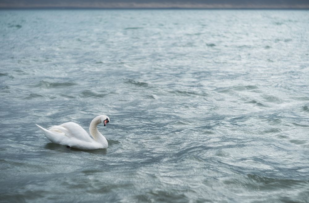 Однажды в серебряном море.