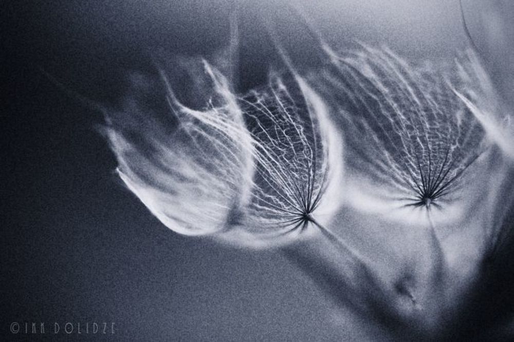 Art is full of emptyness...