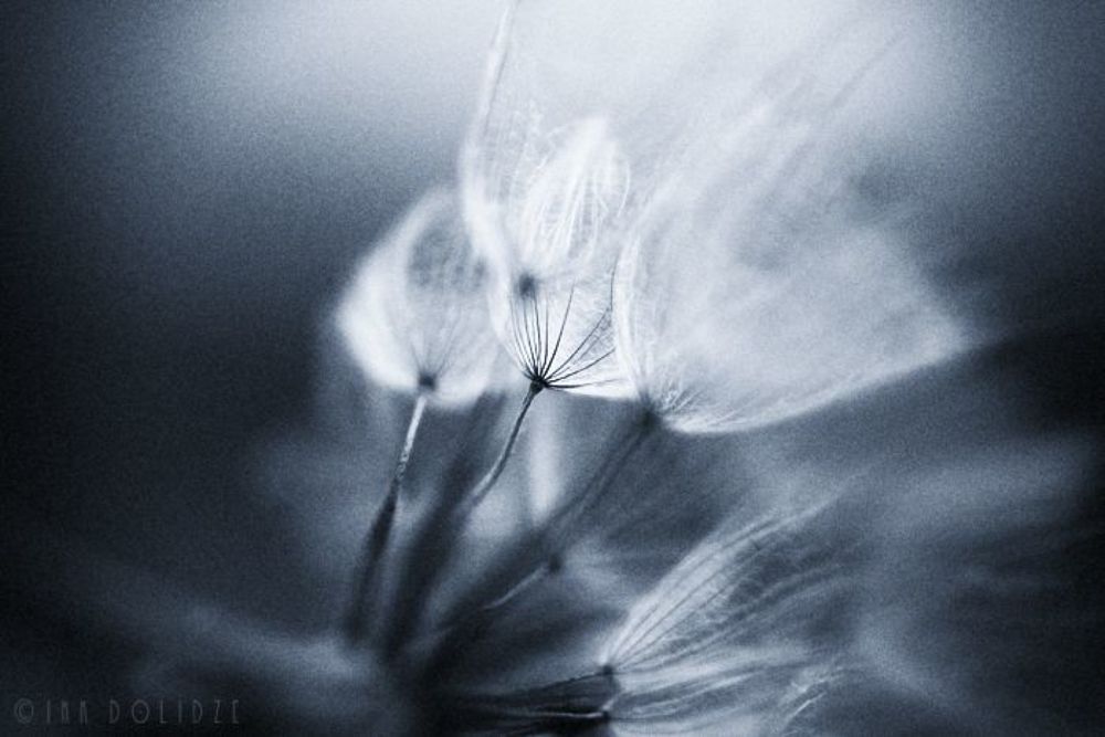 Art is full of emptyness...