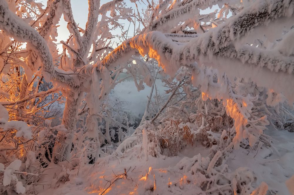 Холод.