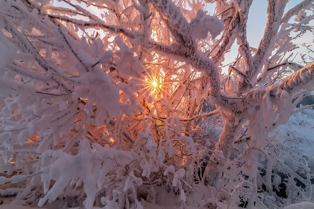Холод.