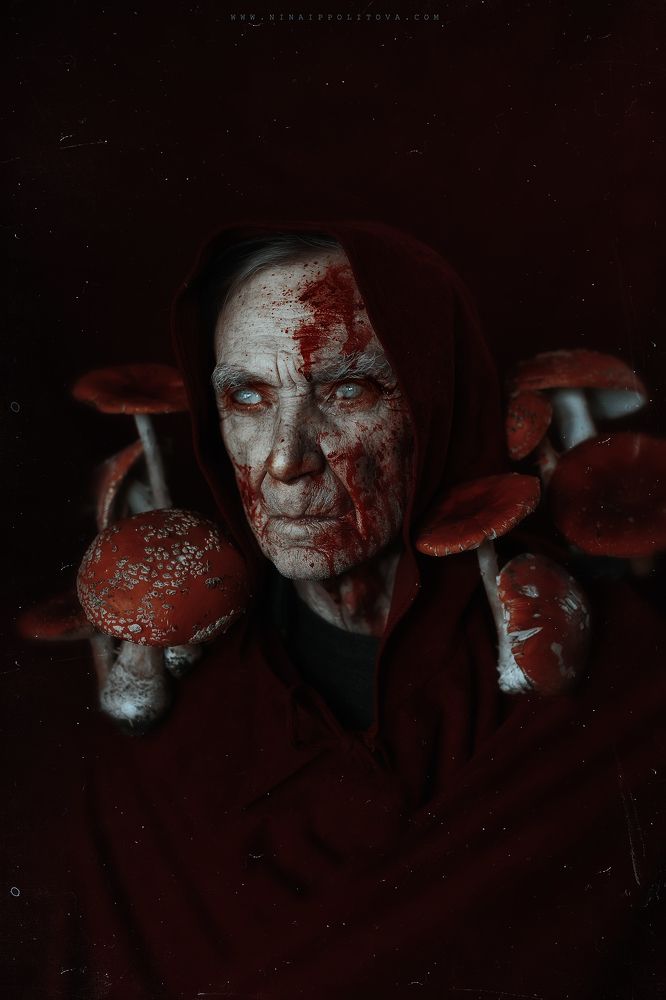 Г р и б н о й   к о р о л ь