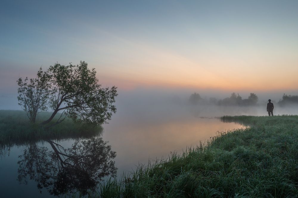 Photo 2520884