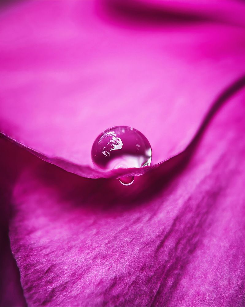 Macro