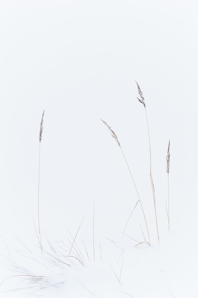 Photo 2521823