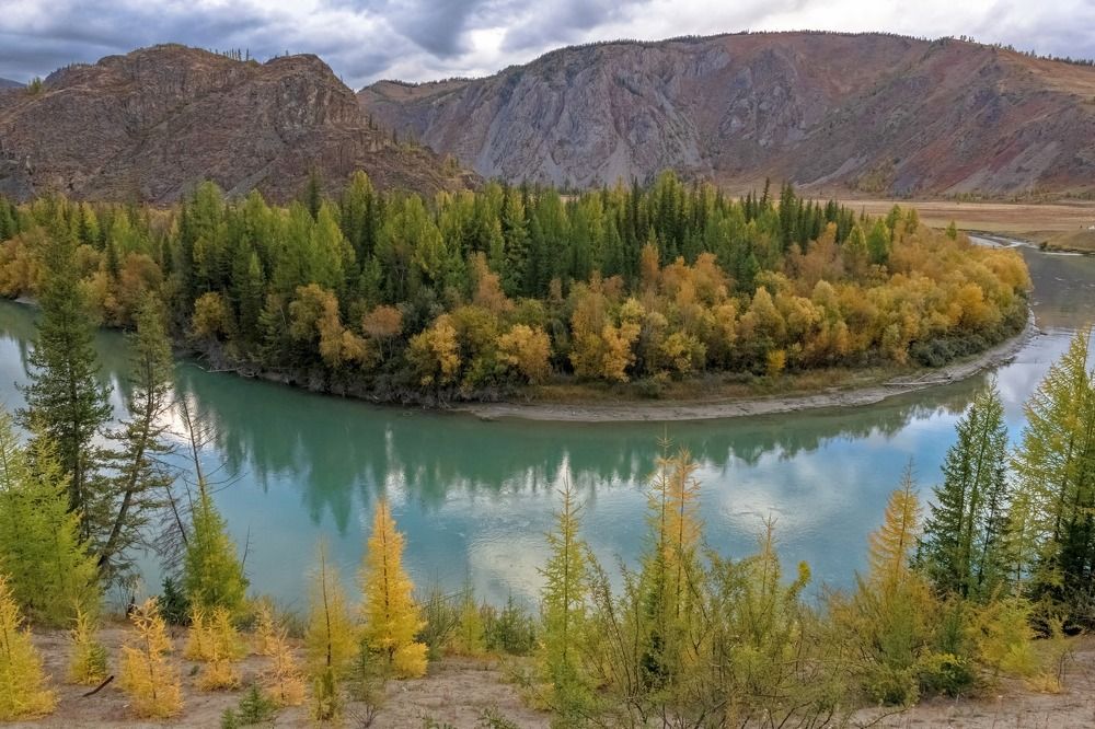 Красавица Чуя