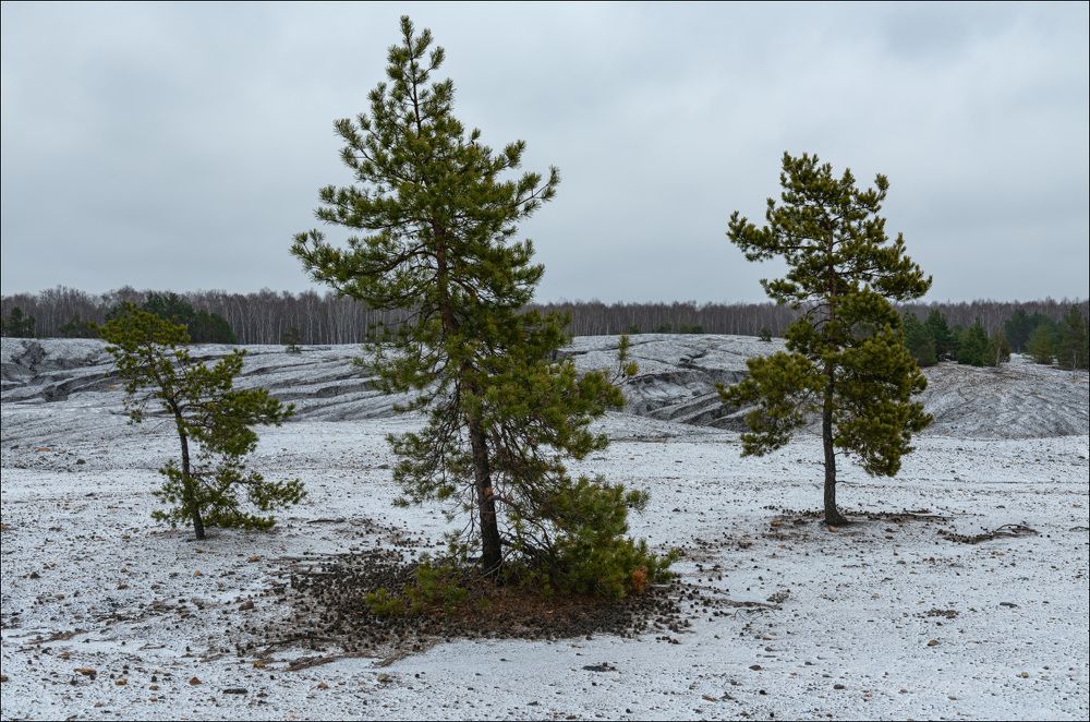 И каждая неповторима
