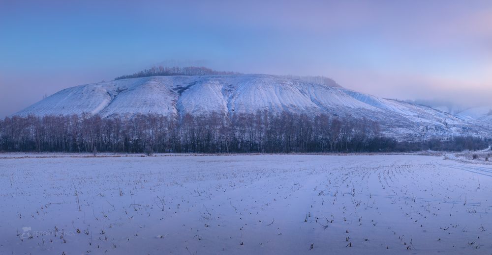 Зимние акварели из заповедника