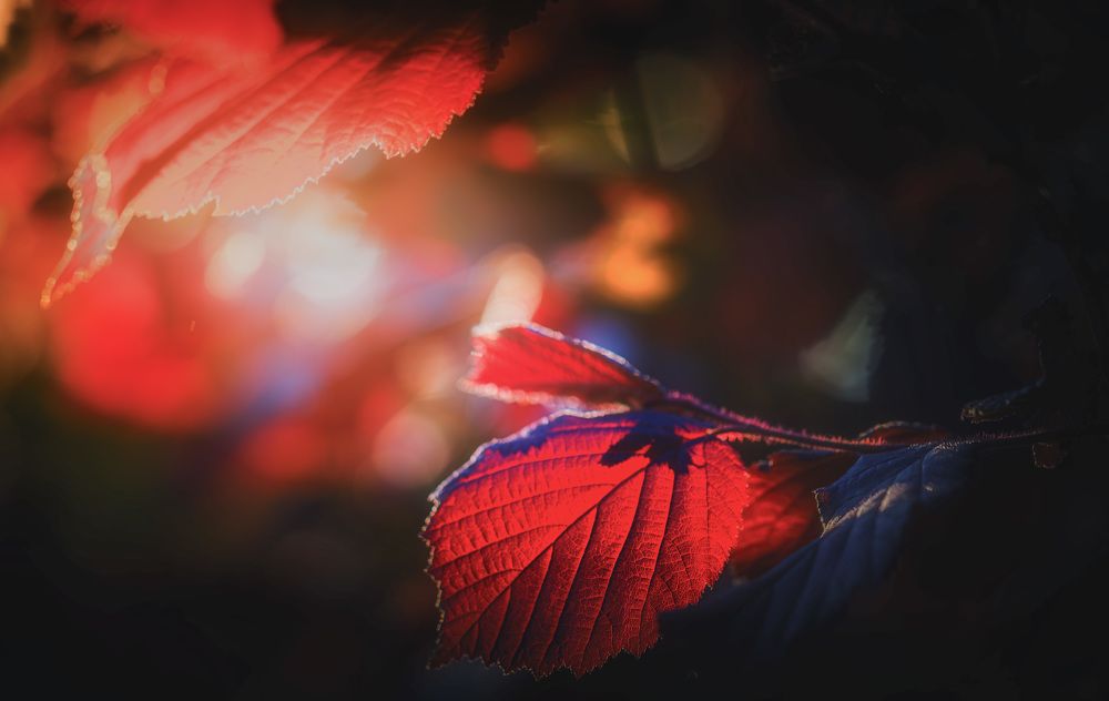 Лето...