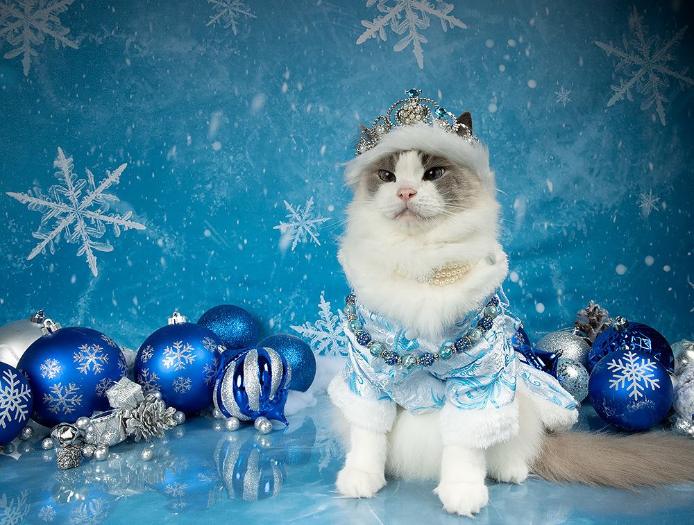 Матильда. Снегурочку - вызывали? Happy New Year!