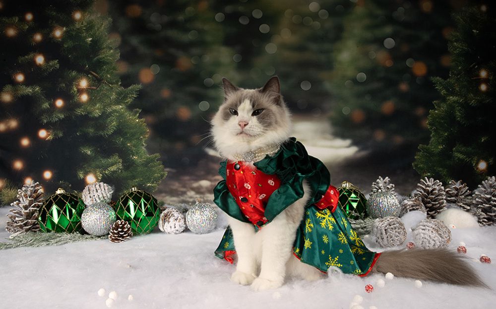 Матильда. Снегурочку - вызывали? Happy New Year!