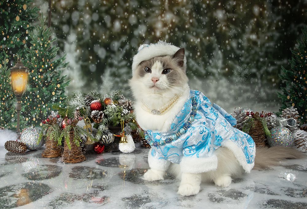 Матильда. Снегурочку - вызывали? Happy New Year!