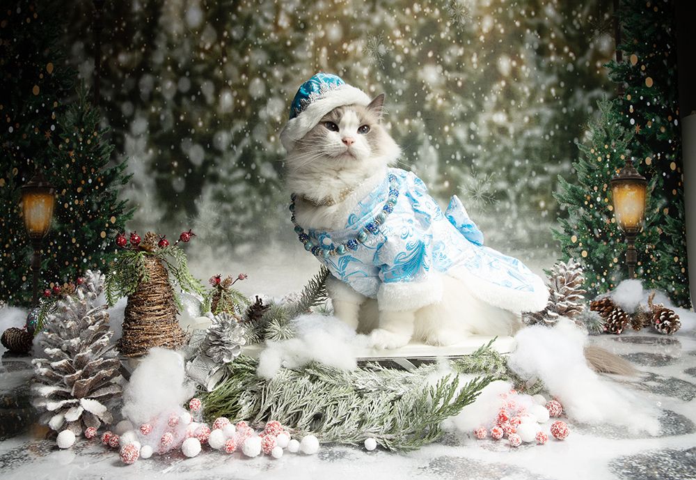 Матильда. Снегурочку - вызывали? Happy New Year!