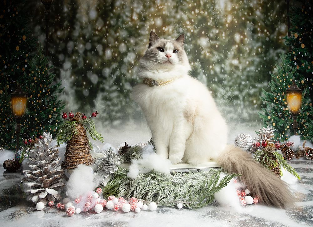Матильда. Снегурочку - вызывали? Happy New Year!
