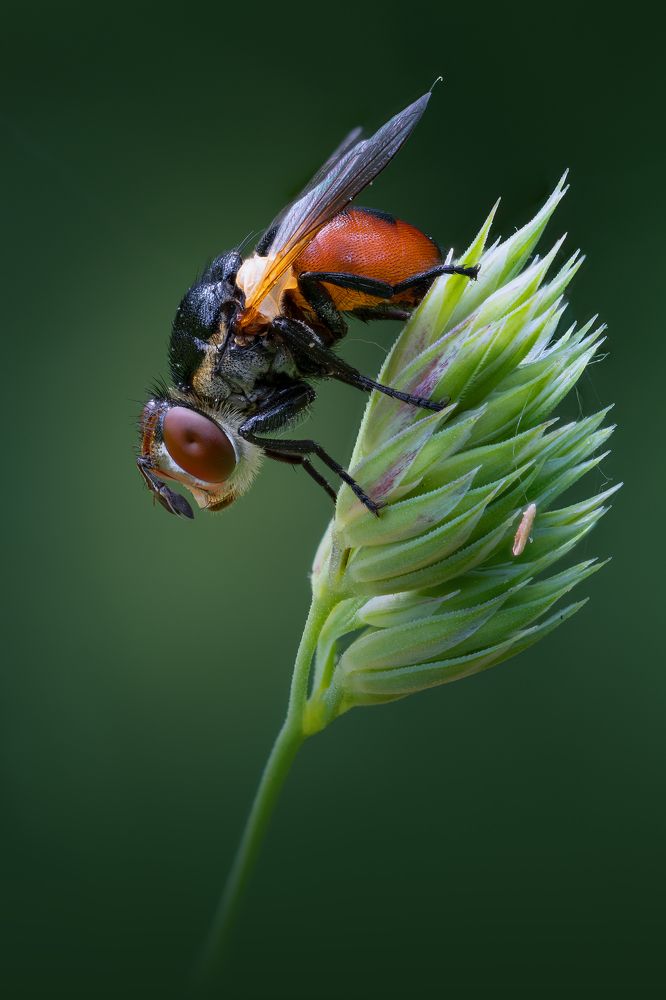 Photo 2525749