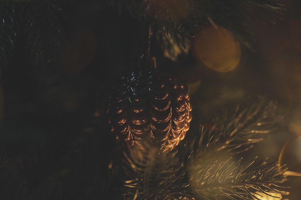 Photo 2527442