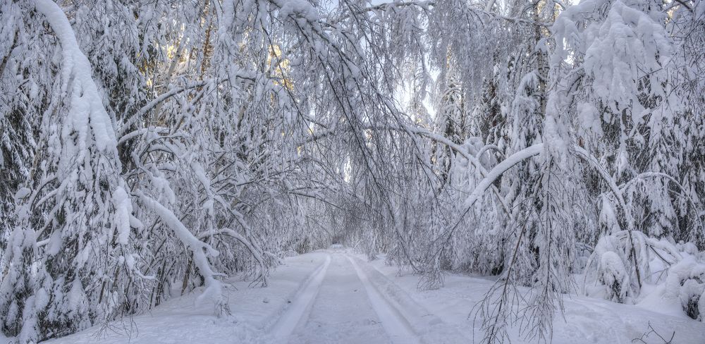 Заснежило :)
