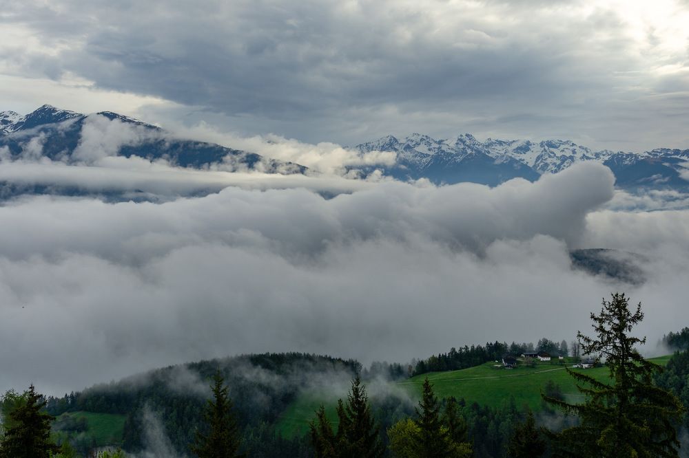 Photo 2528227