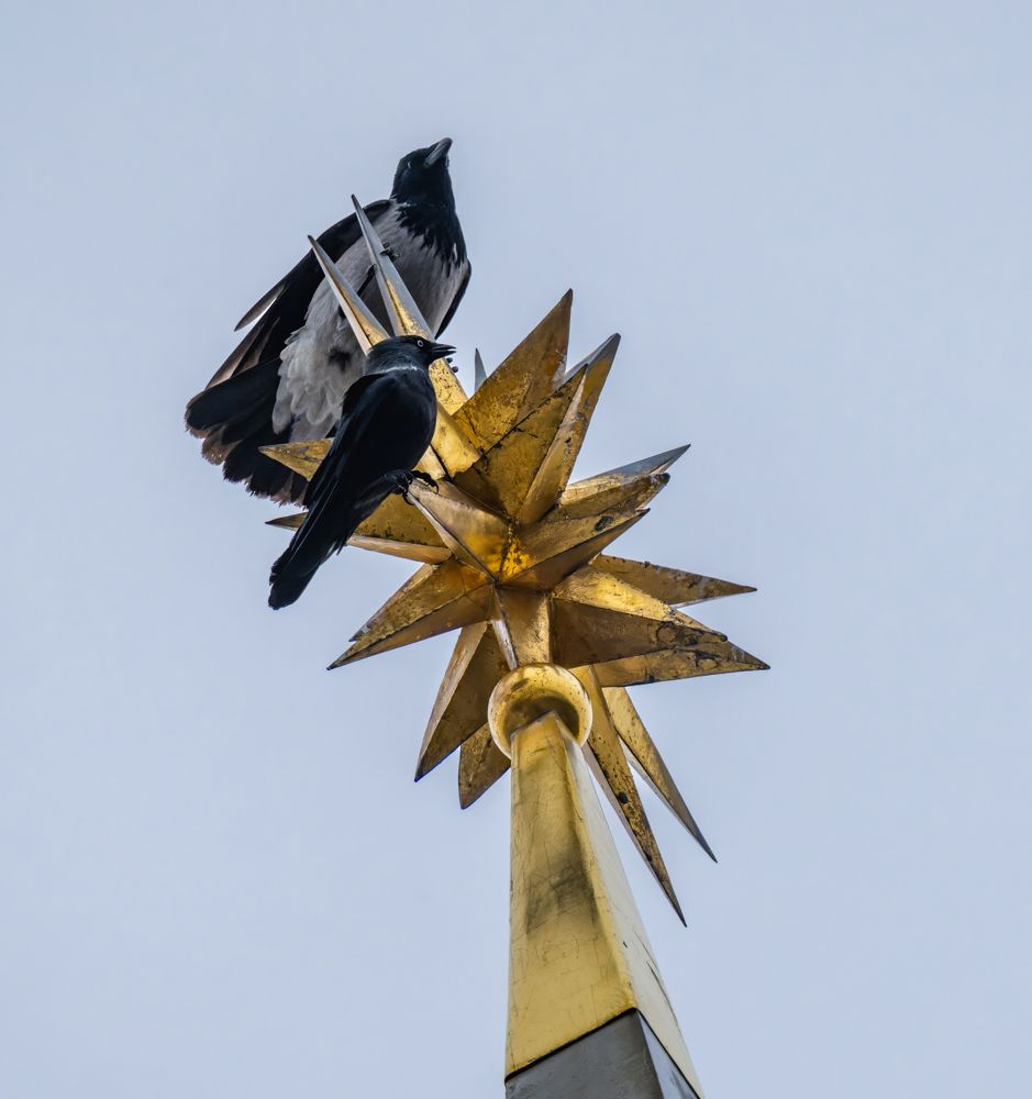 Битва за место центрального смотрителя