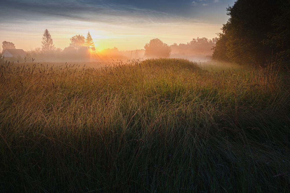 Photo 2528692