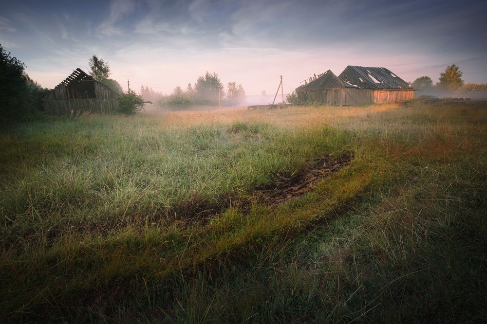 Photo 2528694