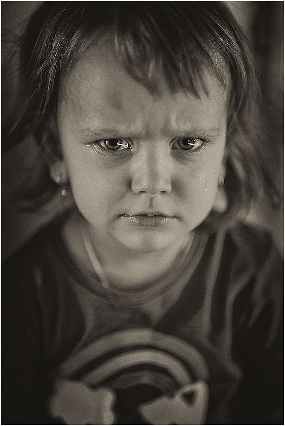 Photo 253548