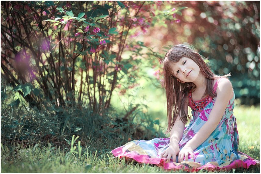 Photo 253550