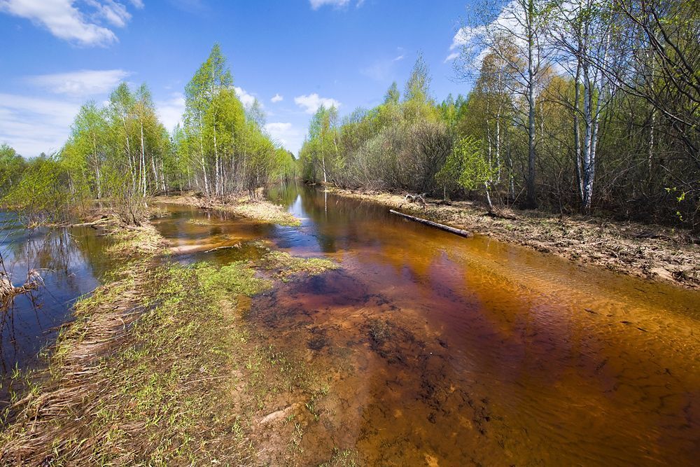 Мещера, Рязанская область. В этом году большая вода была очень высокой. В результате под водой оказались не только заливные луга, но и многие дороги.