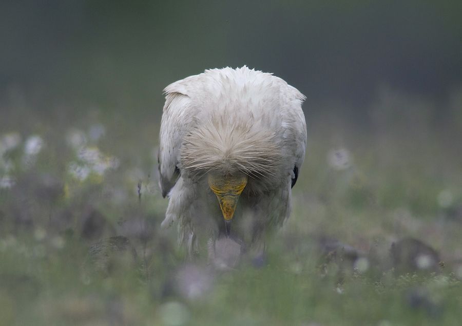 Photo 253862