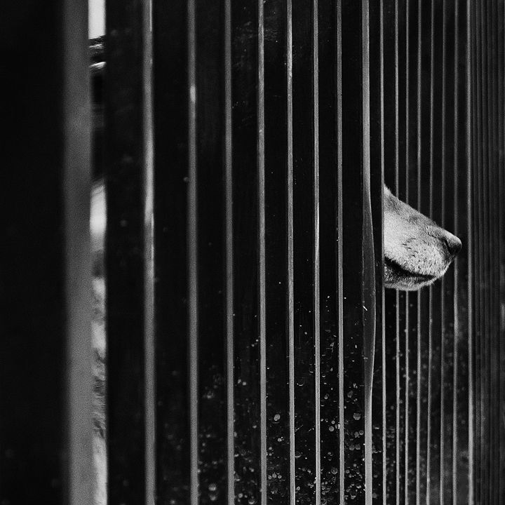 Photo 253865